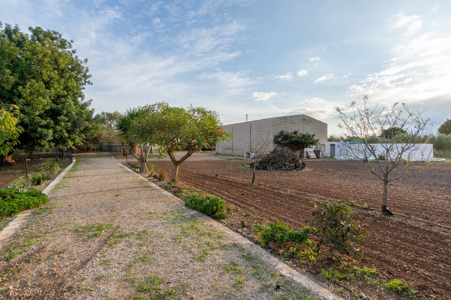 1 camera da letto Finca/Casa di Campagna in vendita in Santa Barbara - 400.000 € (Rif: 8614701)