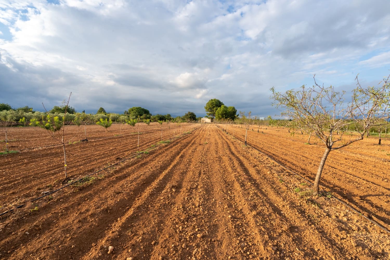 1 camera da letto Finca/Casa di Campagna in vendita in Santa Barbara - 400.000 € (Rif: 8614701)