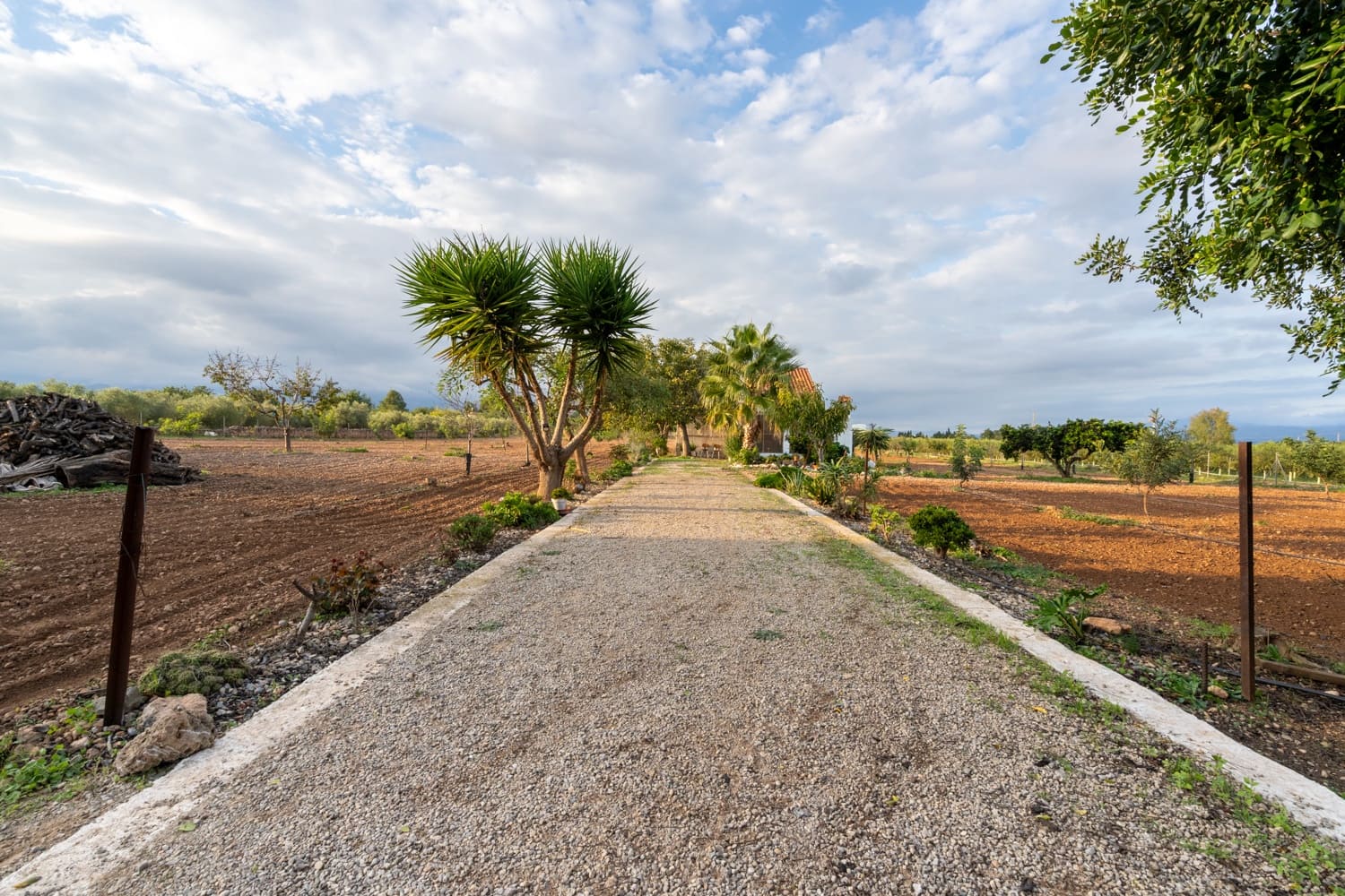 1 camera da letto Finca/Casa di Campagna in vendita in Santa Barbara - 400.000 € (Rif: 8614701)
