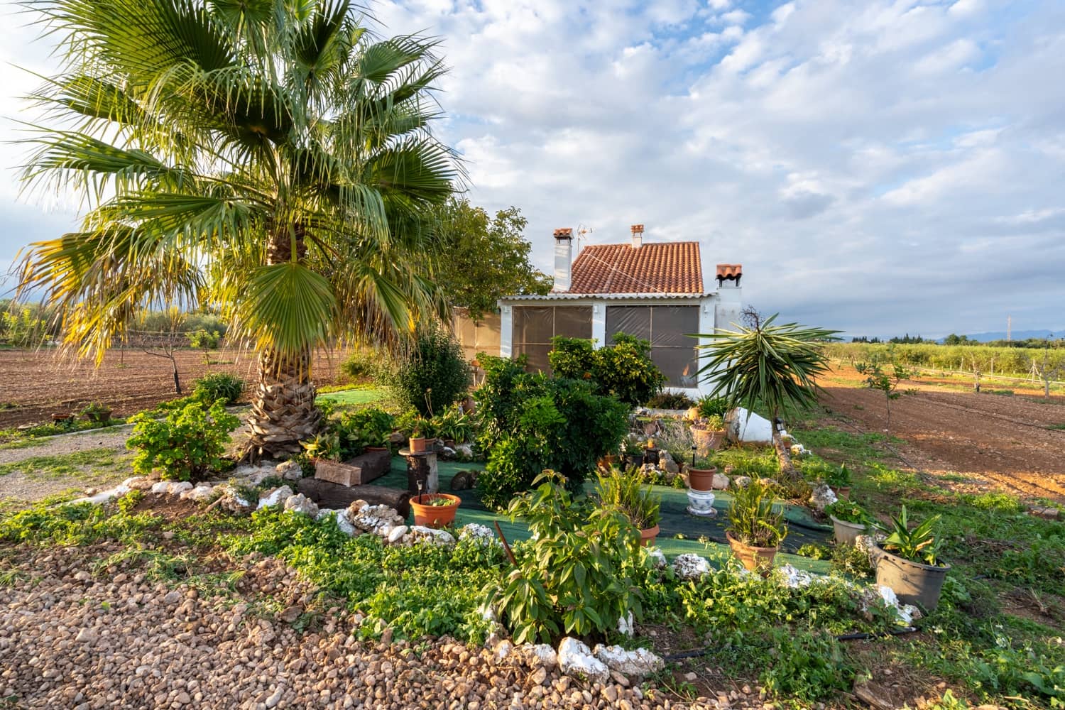 1 camera da letto Finca/Casa di Campagna in vendita in Santa Barbara - 400.000 € (Rif: 8614701)