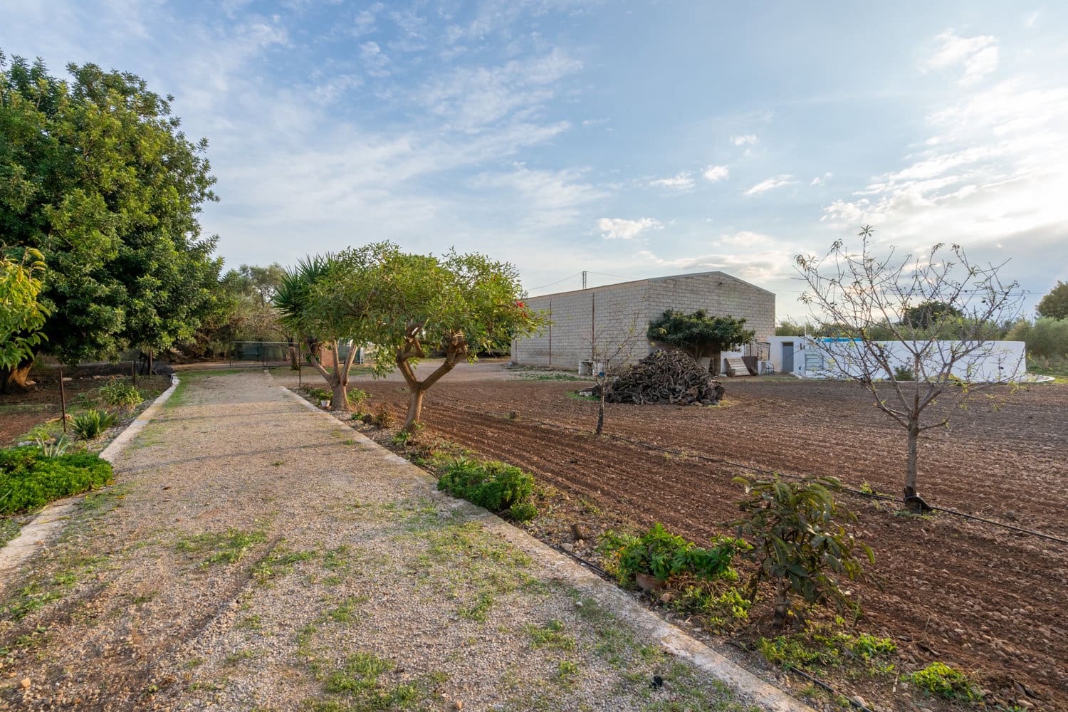 1 sypialnia Finka/Dom wiejski na sprzedaż w Santa Barbara - 400 000 € (Ref: 8614701)