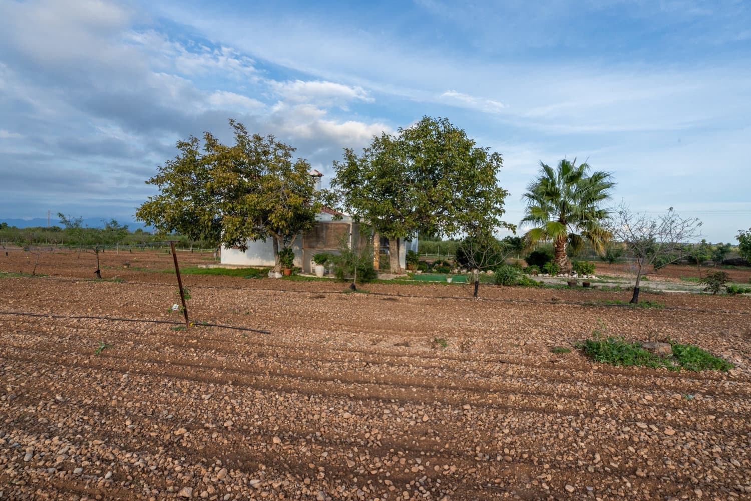 1 sypialnia Finka/Dom wiejski na sprzedaż w Santa Barbara - 400 000 € (Ref: 8614701)