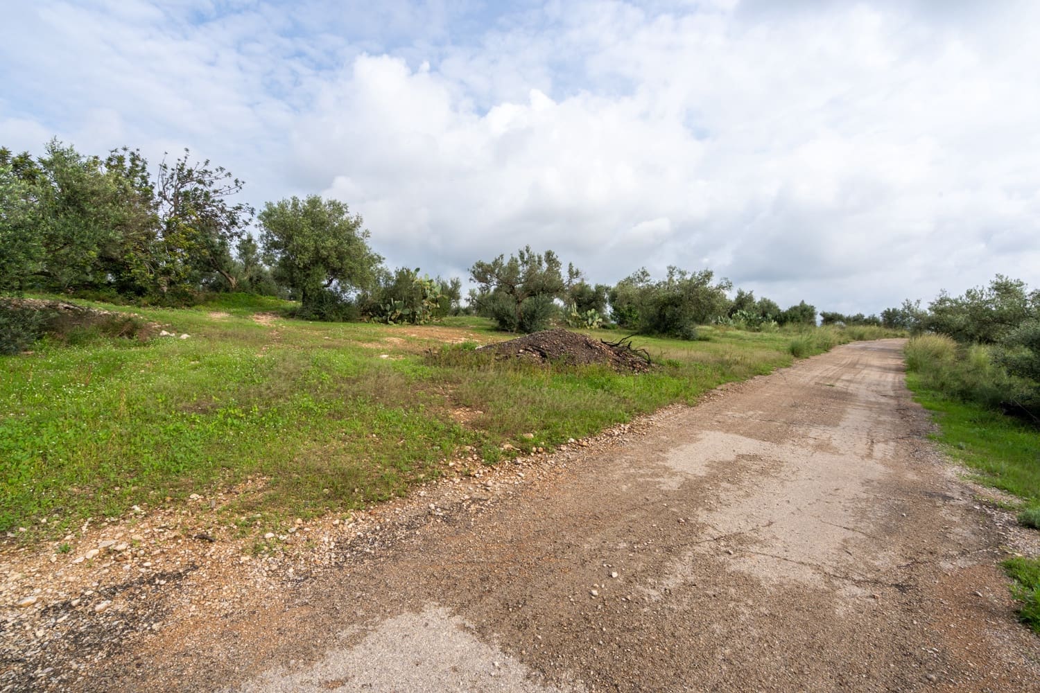 Finca/Country House for sale in Xerta - € 38,000 (Ref: 8620954)