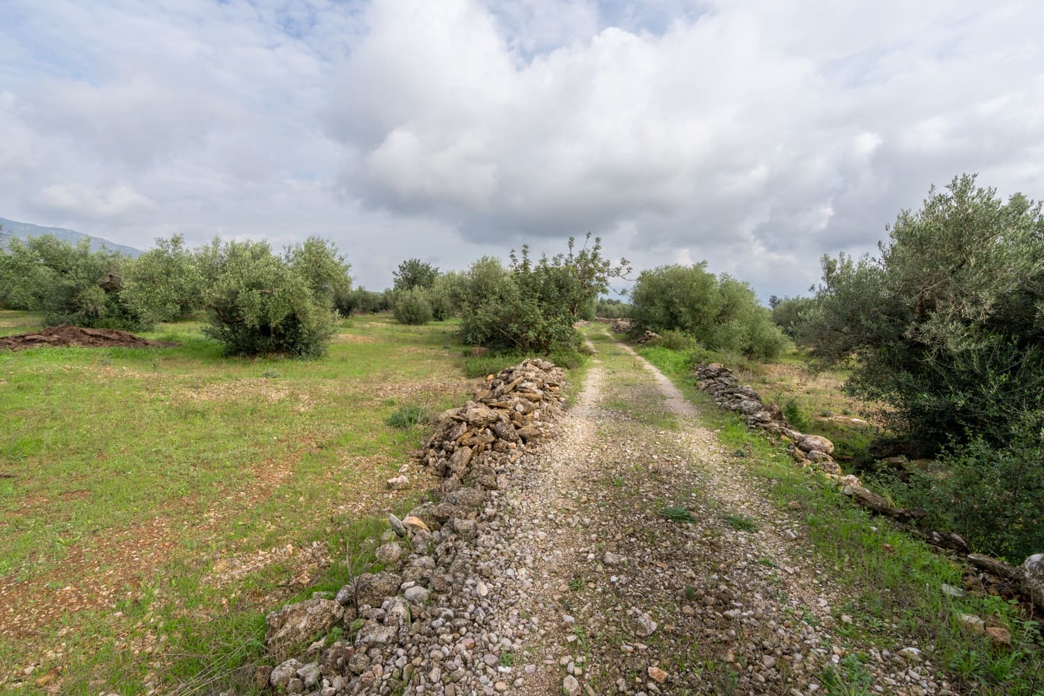 Finca/Country House for sale in Xerta - € 38,000 (Ref: 8620954)