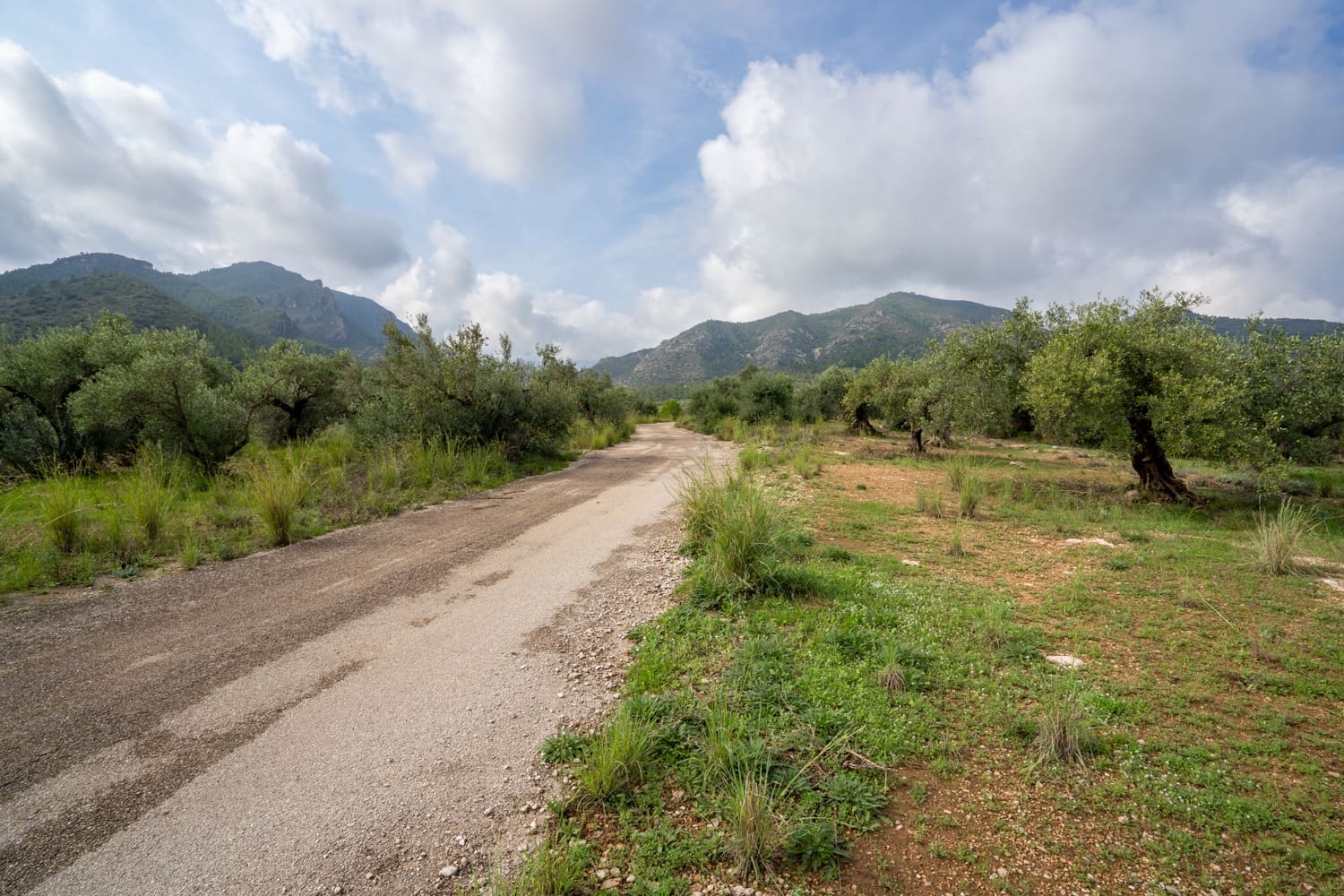 Finca/Country House for sale in Xerta - € 38,000 (Ref: 8620954)