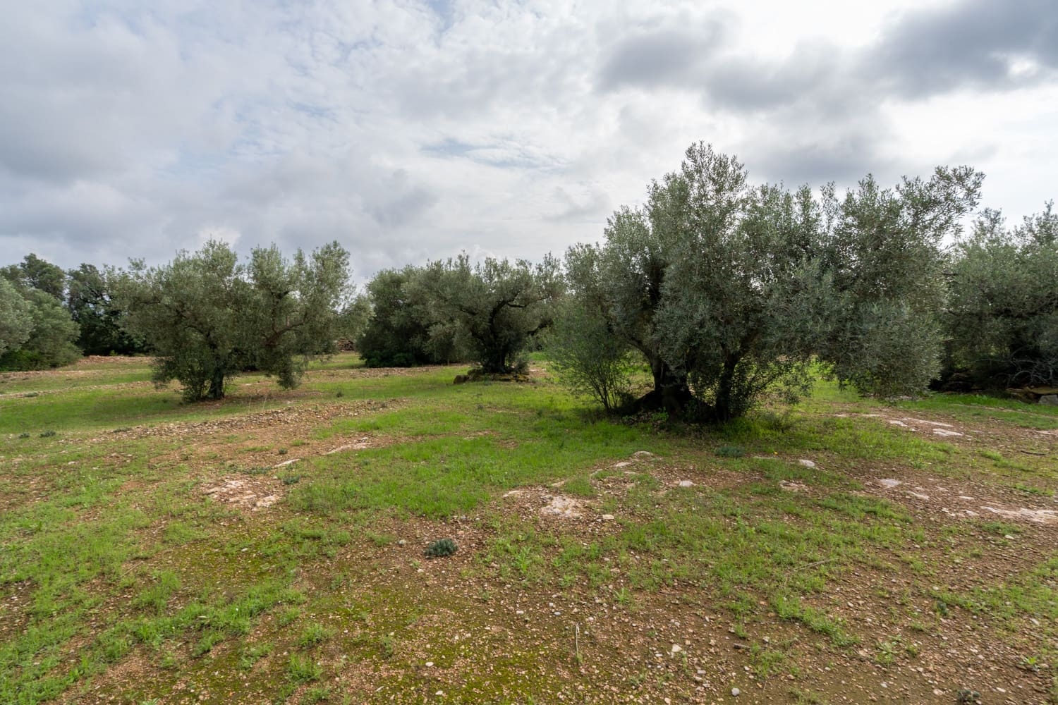 Finca/Country House for sale in Xerta - € 38,000 (Ref: 8620954)