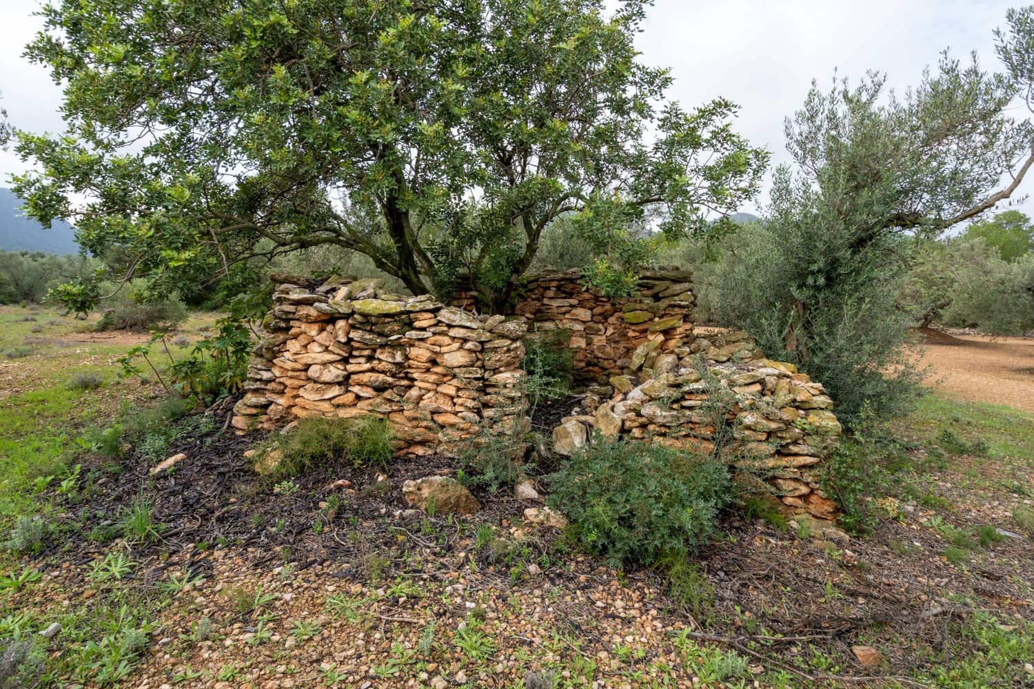 Finca/Country House for sale in Xerta - € 38,000 (Ref: 8620954)