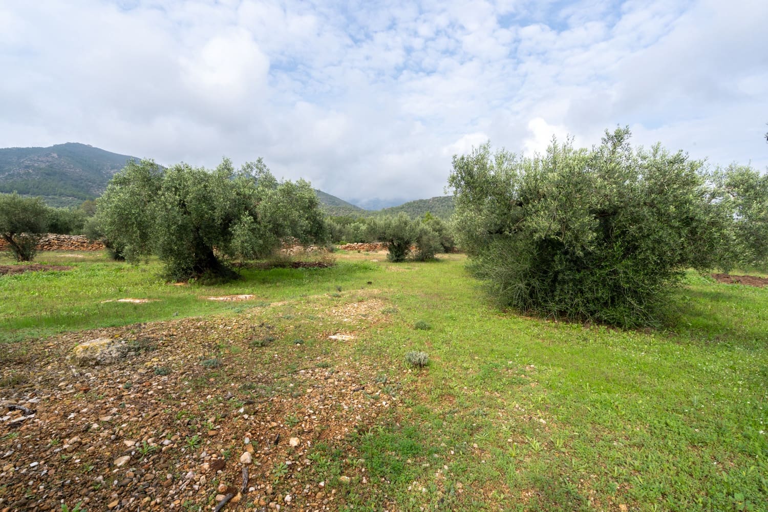 Finca/Country House for sale in Xerta - € 38,000 (Ref: 8620954)