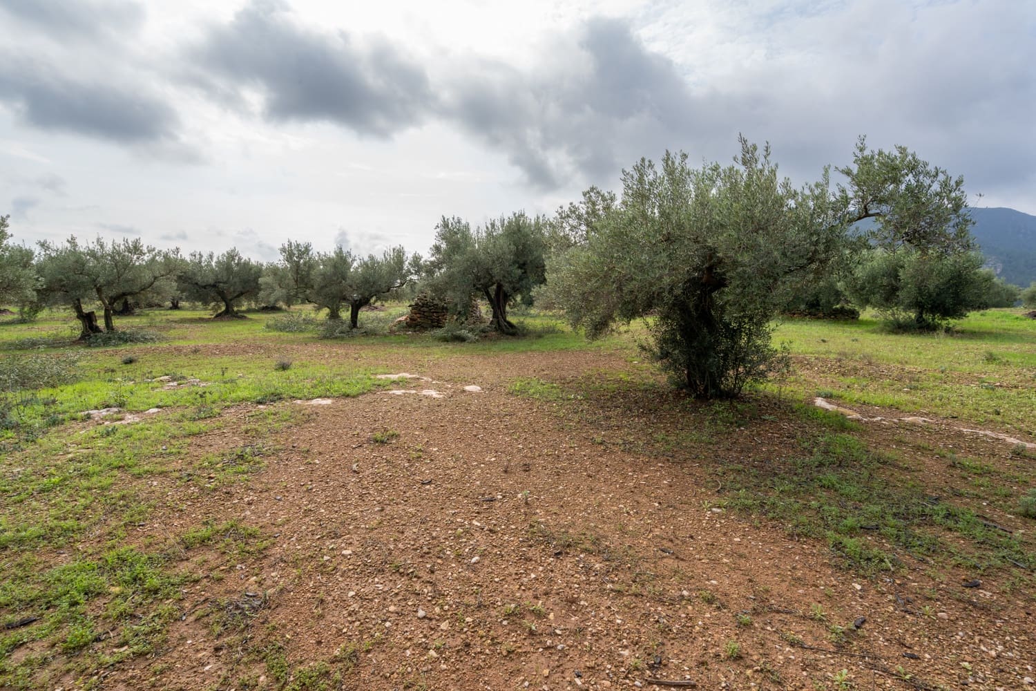 Finca/Country House for sale in Xerta - € 38,000 (Ref: 8620954)