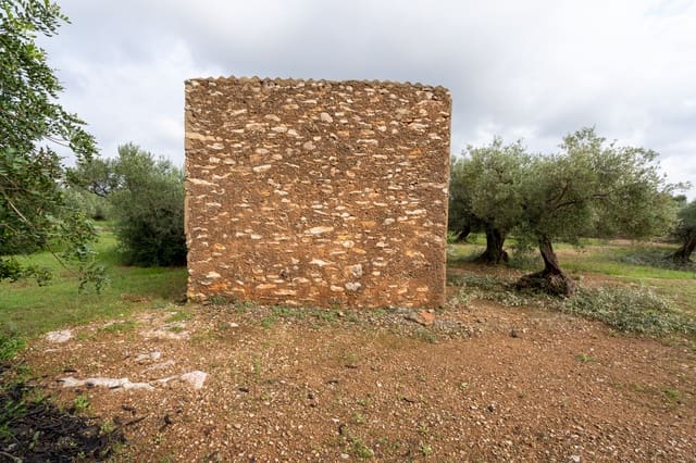 Finca/Landehus til salg i Xerta - € 38.000 (Ref: 8620954)