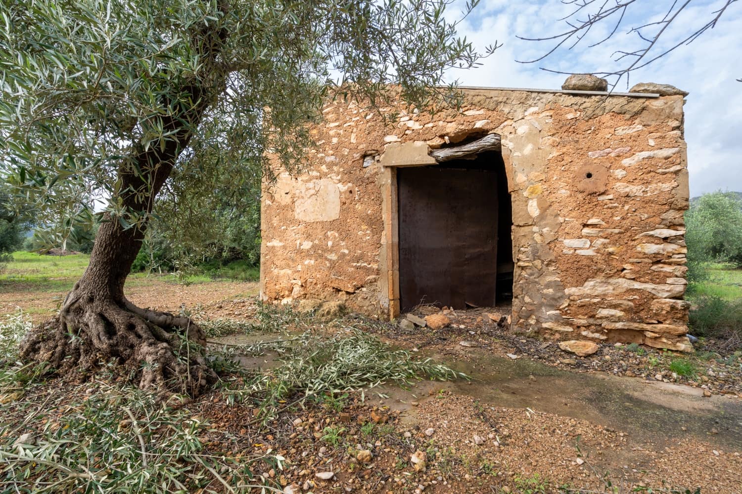 Finca/Country House for sale in Xerta - € 38,000 (Ref: 8620954)