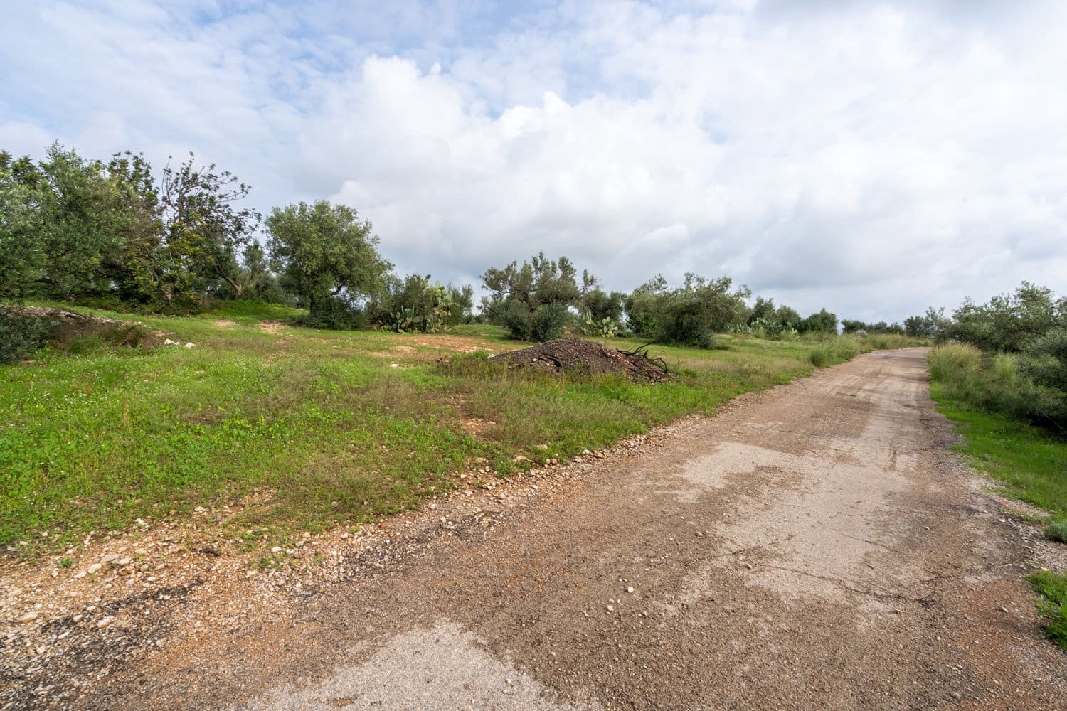 Finca/Country House for sale in Xerta - € 38,000 (Ref: 8620954)