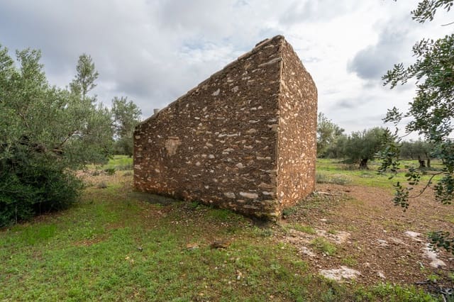 Finca/Landehus til salg i Xerta - € 38.000 (Ref: 8620954)