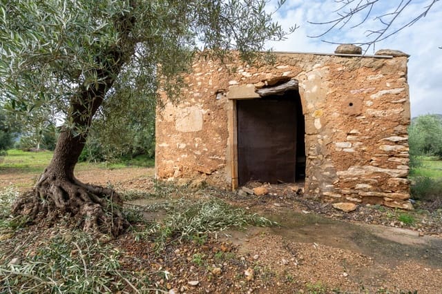 Finca/Landehus til salg i Xerta - € 38.000 (Ref: 8620954)