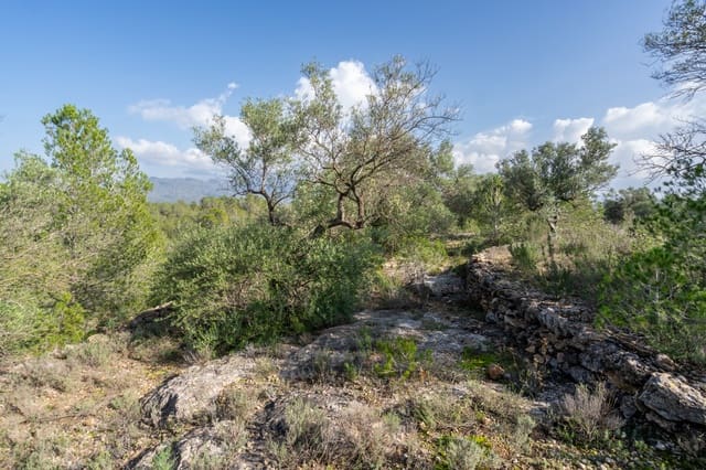 Finca/Landehus til salg i Xerta - € 15.000 (Ref: 8627210)