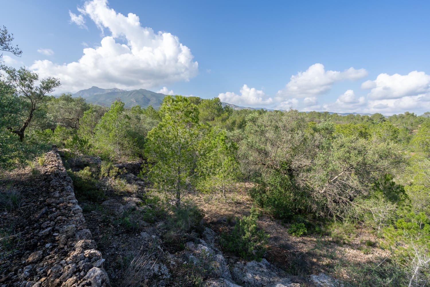 Finca/Landehus til salg i Xerta - € 15.000 (Ref: 8627210)