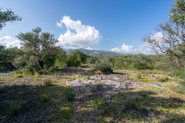 Finca/Landehus til salg i Xerta - € 15.000 (Ref: 8627210)