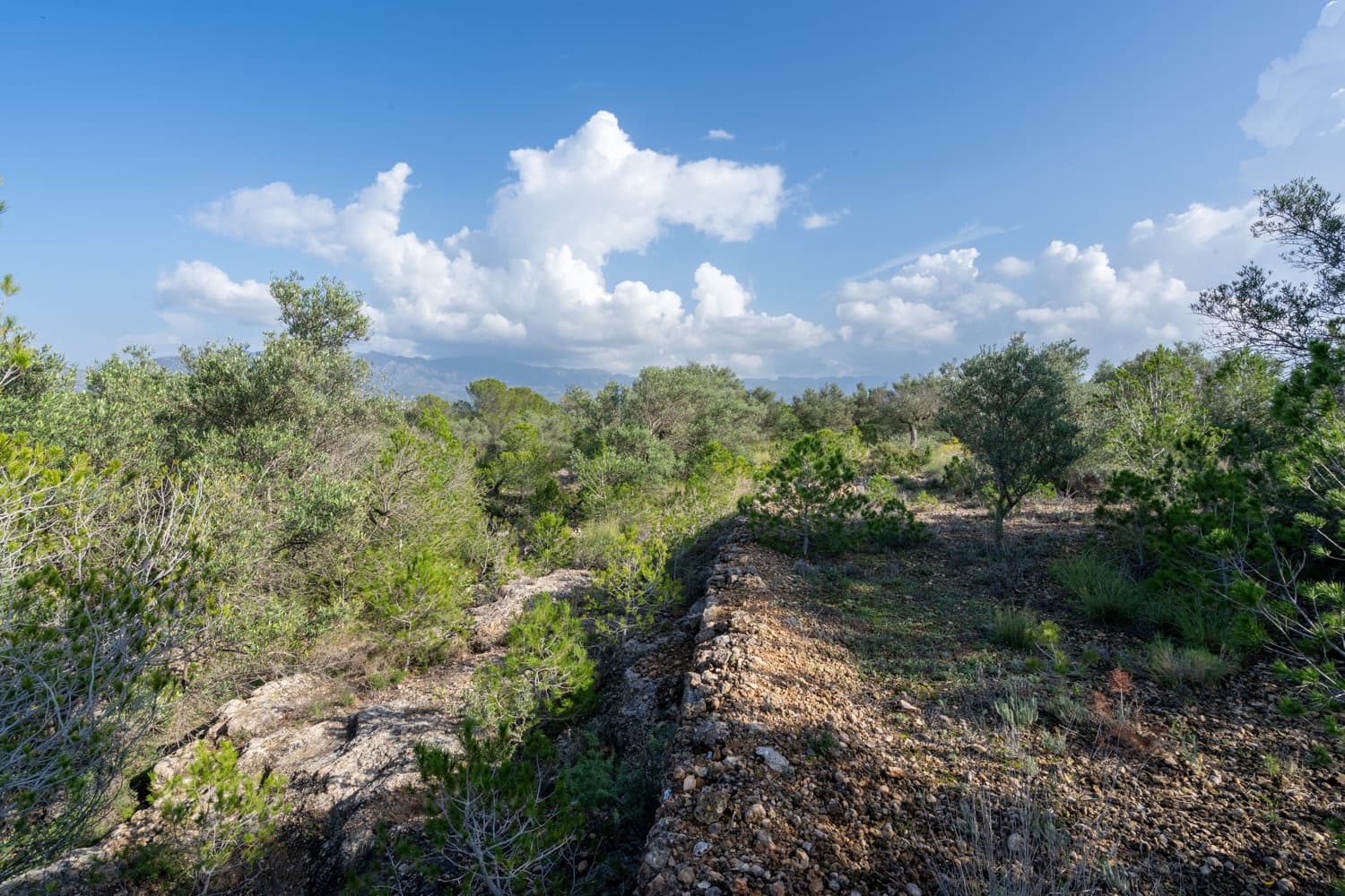 Finca/Hus på landet till salu i Xerta - 15 000 € (Ref: 8627210)