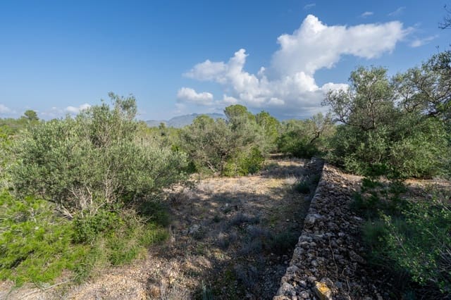 Finca/Herregård til salgs i Xerta - € 15 000 (Ref: 8627210)