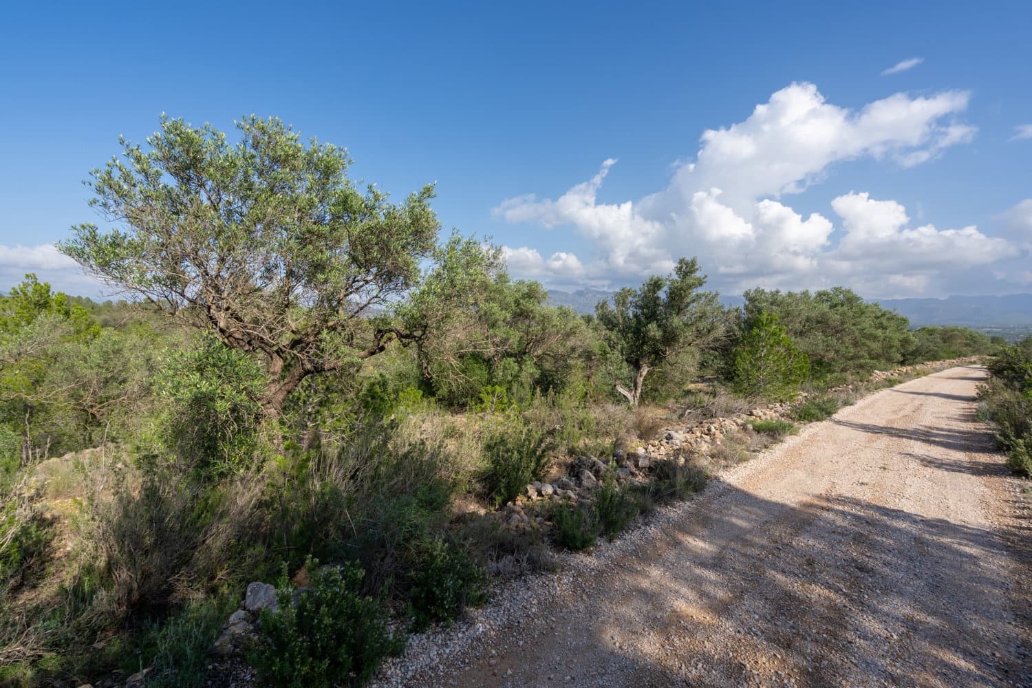 Finca/Hus på landet till salu i Xerta - 15 000 € (Ref: 8627210)