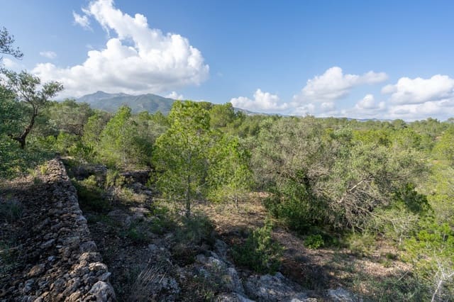 Finca/Herregård til salgs i Xerta - € 15 000 (Ref: 8627210)
