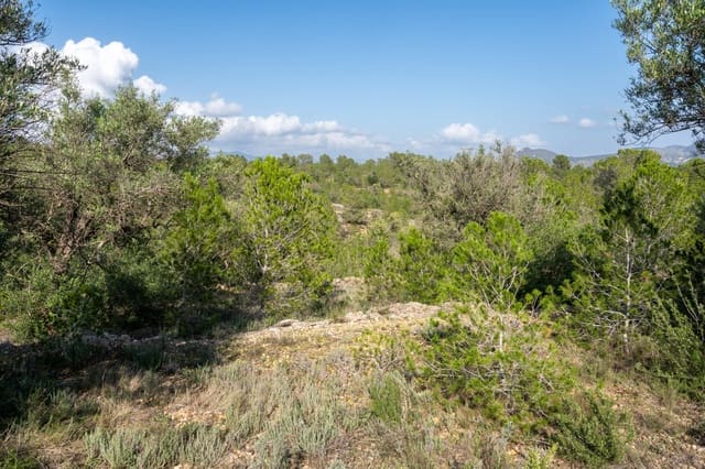 Finca/Herregård til salgs i Xerta - € 15 000 (Ref: 8627210)