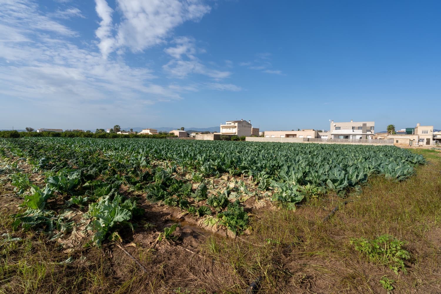 Finca/Country House for sale in L'Aldea - € 185,000 (Ref: 8655059)