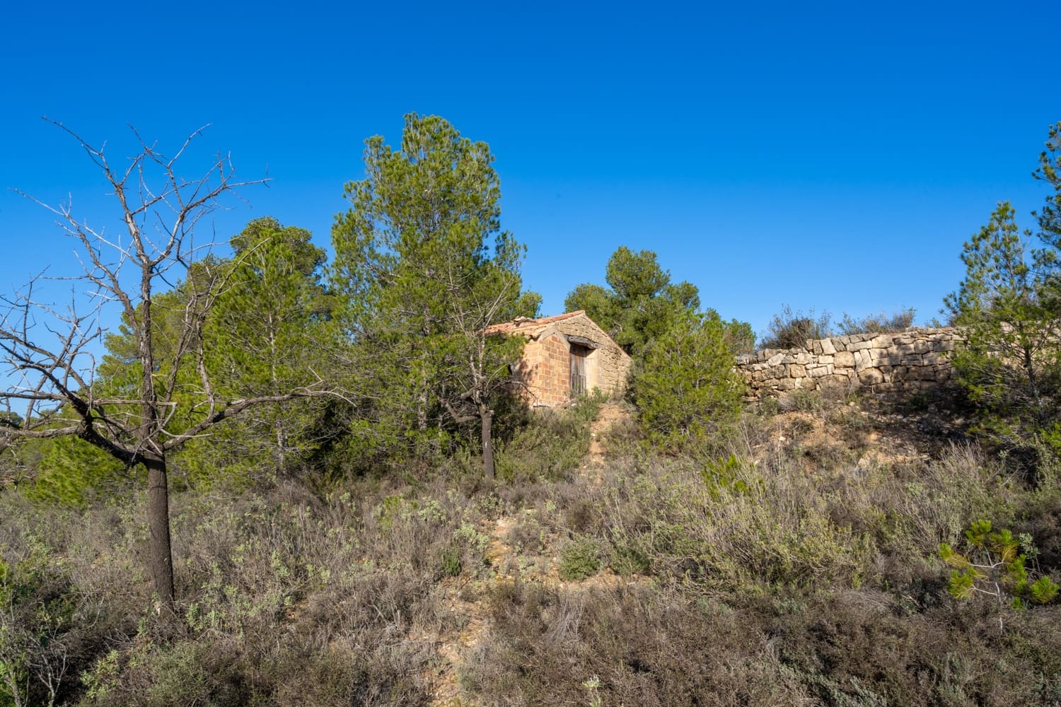 Finca/Maison de Campagne à vendre à Horta de Sant Joan - 50 000 € (Ref: 8666854)