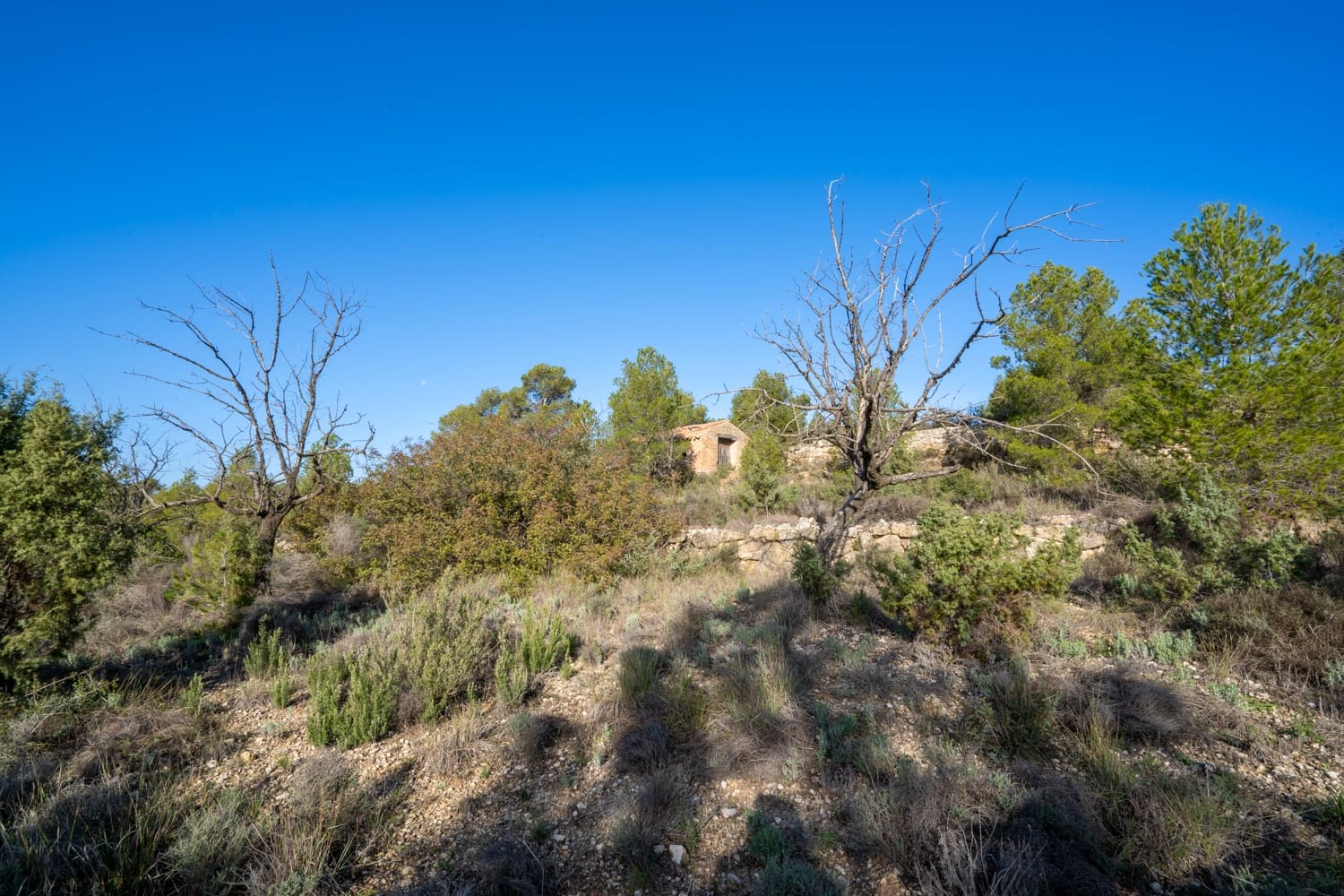 Finca/Maison de Campagne à vendre à Horta de Sant Joan - 50 000 € (Ref: 8666854)
