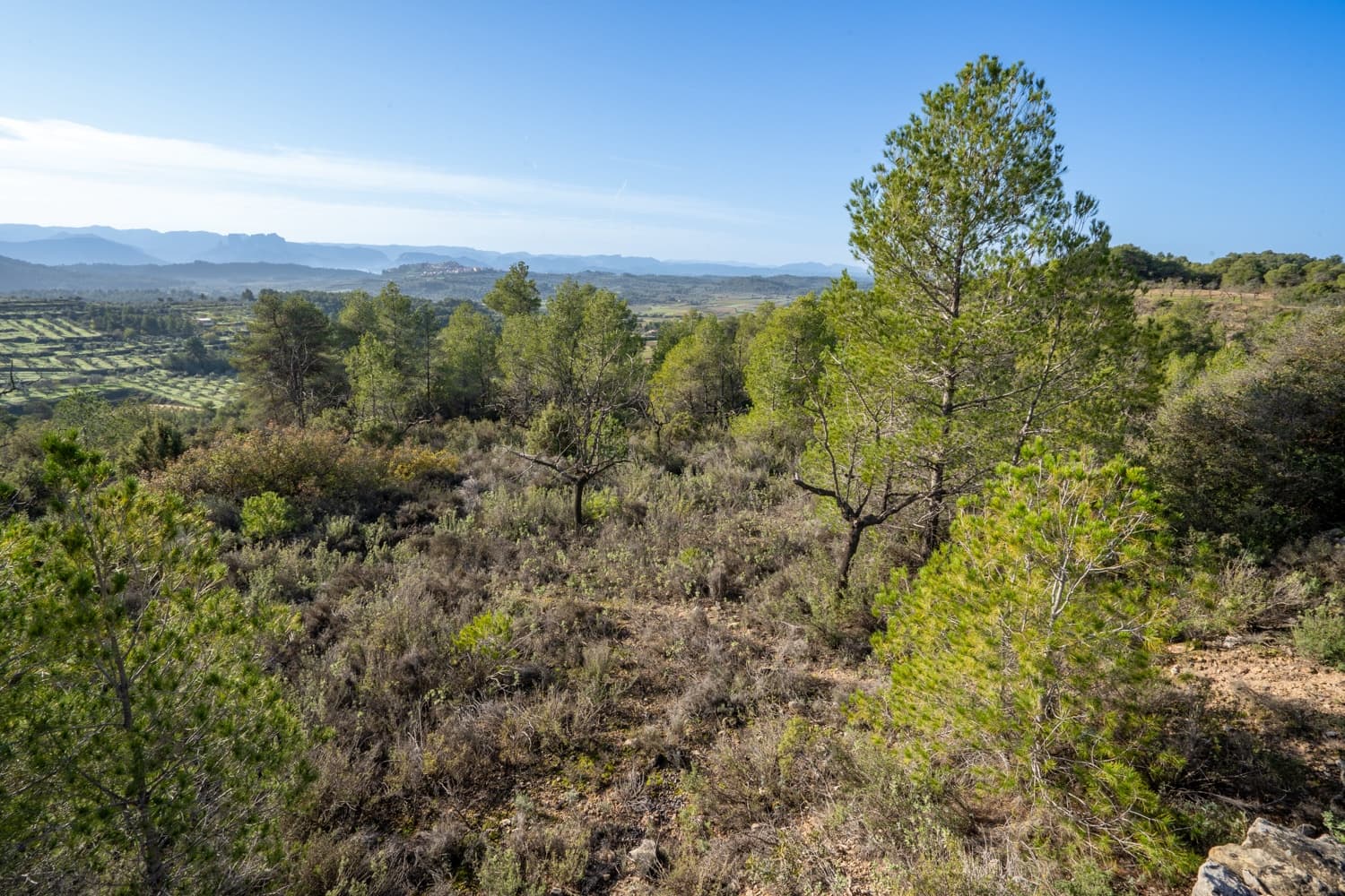 Finca/Maison de Campagne à vendre à Horta de Sant Joan - 50 000 € (Ref: 8666854)