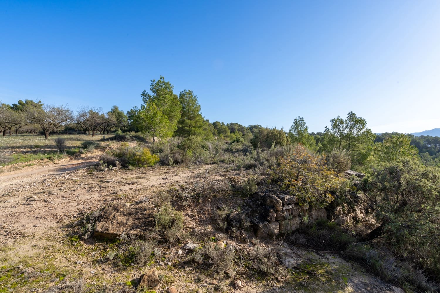 Finca/Maison de Campagne à vendre à Horta de Sant Joan - 50 000 € (Ref: 8666854)