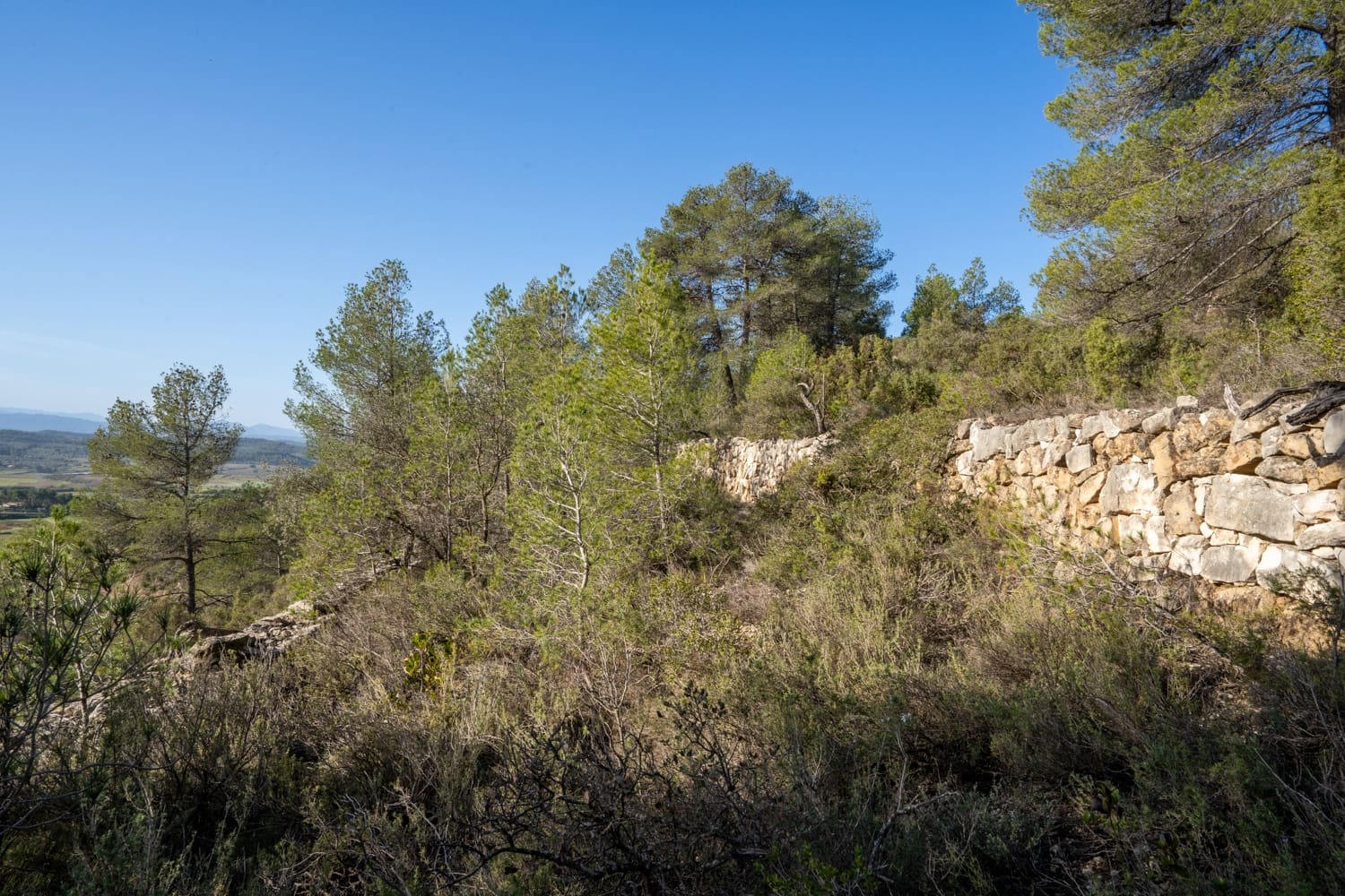 Finca/Maison de Campagne à vendre à Horta de Sant Joan - 50 000 € (Ref: 8666854)