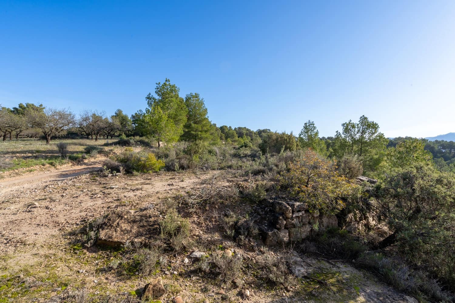 Finca/Landehus til salg i Horta de Sant Joan - € 50.000 (Ref: 8666854)