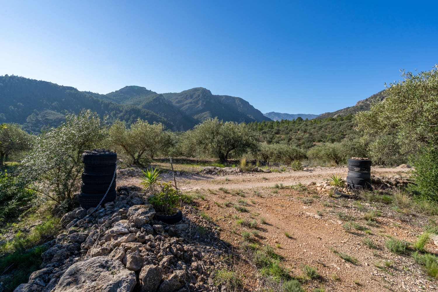 Finca/Country House for sale in Xerta - € 34,000 (Ref: 8671444)