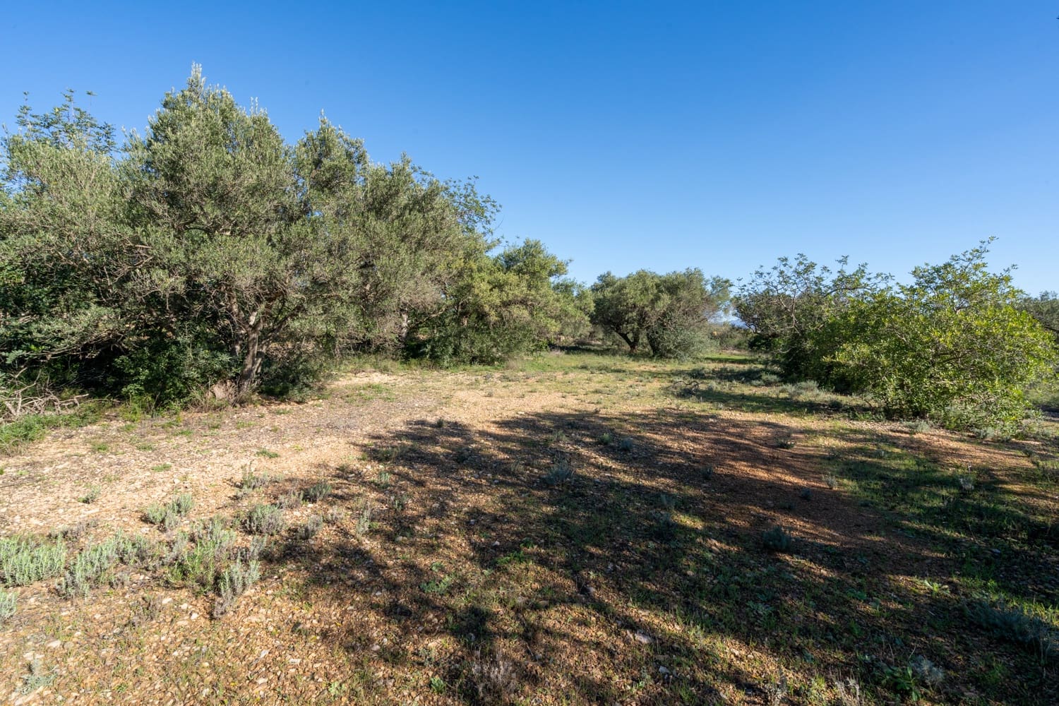 Finca/Country House for sale in Xerta - € 34,000 (Ref: 8671444)