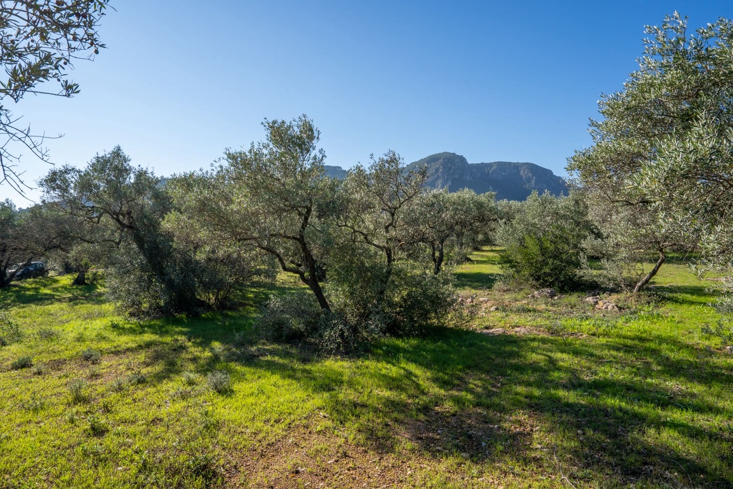 Finca/Country House for sale in Xerta - € 34,000 (Ref: 8671444)