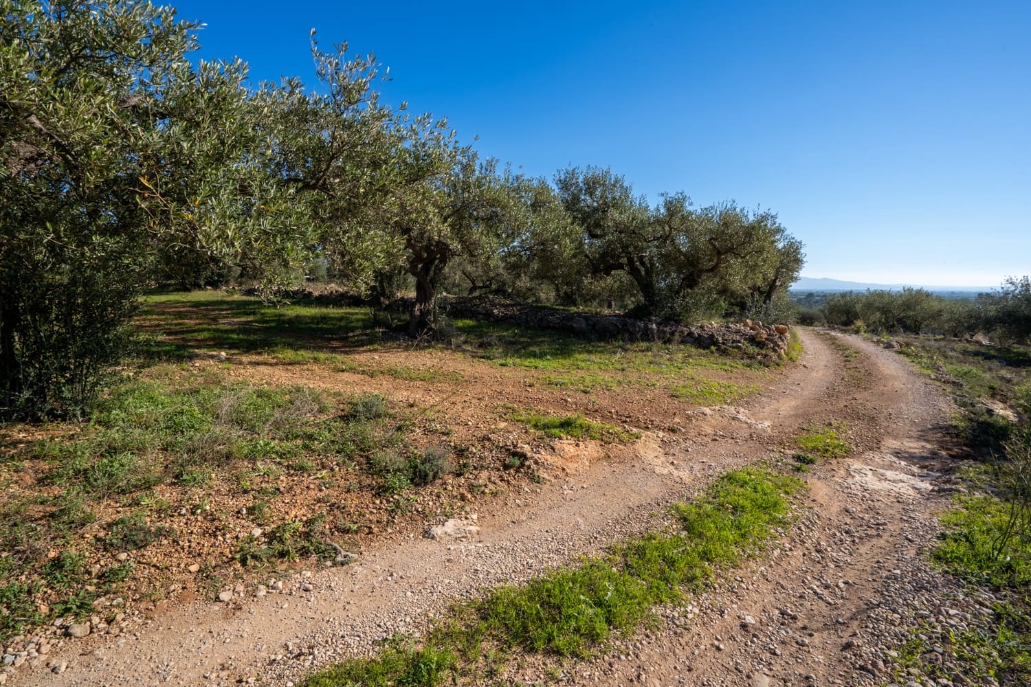 Finca/Country House for sale in Xerta - € 34,000 (Ref: 8671444)