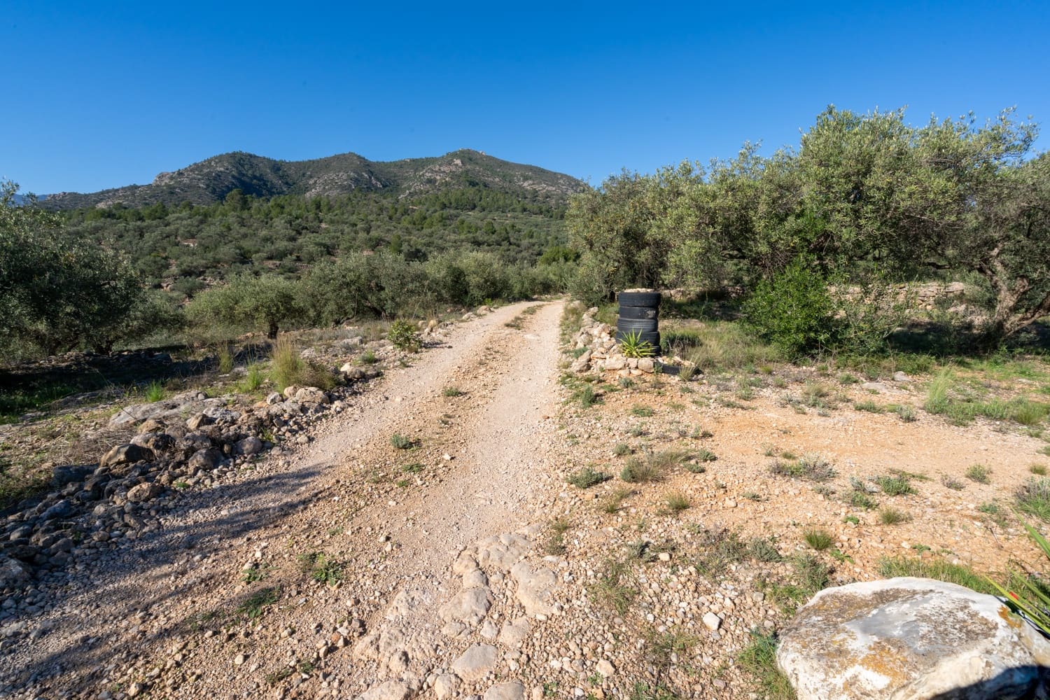 Finca/Country House for sale in Xerta - € 34,000 (Ref: 8671444)