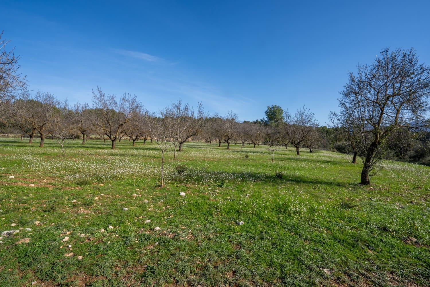Finca/Maison de Campagne à vendre à Horta de Sant Joan - 12 000 € (Ref: 8671445)