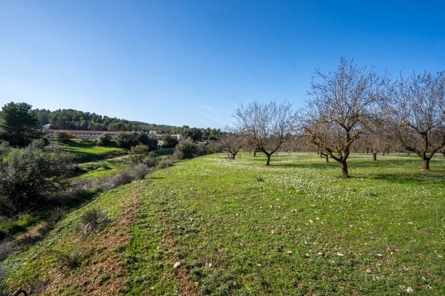 Finca/Landehus til salg i Horta de Sant Joan - € 12.000 (Ref: 8671445)