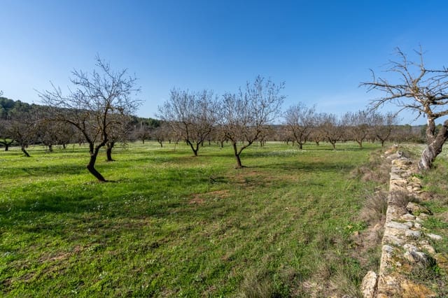 Finca/Landehus til salg i Horta de Sant Joan - € 12.000 (Ref: 8671445)