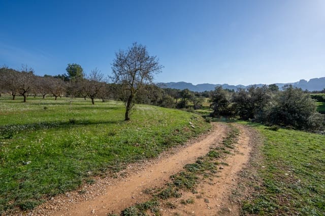 Finca/Landehus til salg i Horta de Sant Joan - € 12.000 (Ref: 8671445)