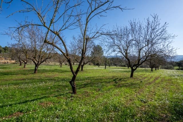 Finca/Landehus til salg i Horta de Sant Joan - € 12.000 (Ref: 8671445)