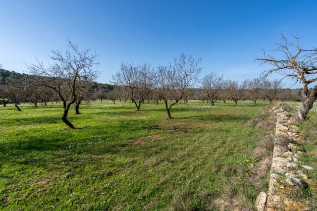 Finka/Dom wiejski na sprzedaż w Horta de Sant Joan - 12 000 € (Ref: 8671445)
