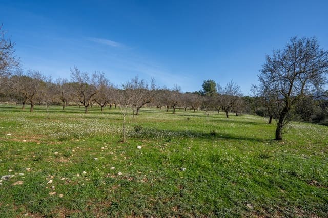 Finka/Dom wiejski na sprzedaż w Horta de Sant Joan - 12 000 € (Ref: 8671445)