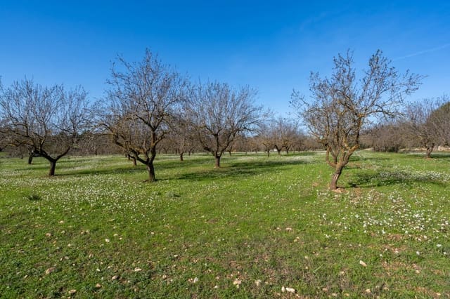 Finka/Dom wiejski na sprzedaż w Horta de Sant Joan - 12 000 € (Ref: 8671445)
