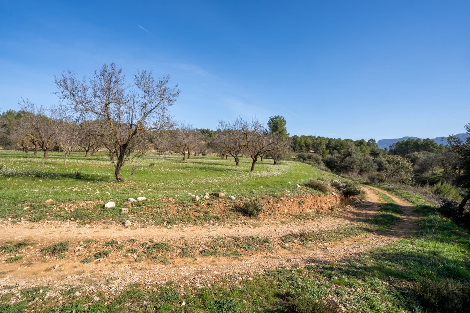 Finca/Herregård til salgs i Horta de Sant Joan - € 12 000 (Ref: 8671445)