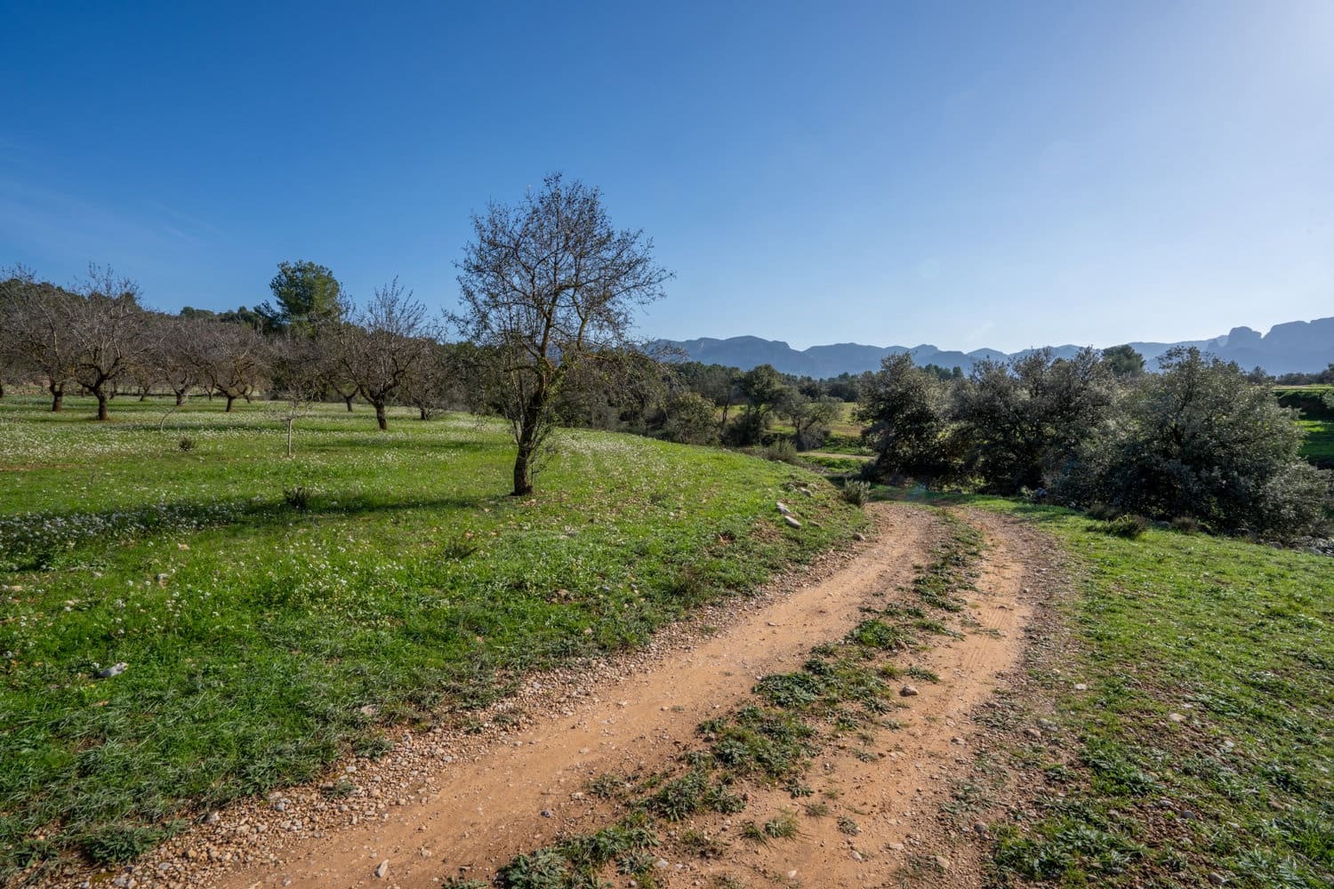 Finca/Herregård til salgs i Horta de Sant Joan - € 12 000 (Ref: 8671445)