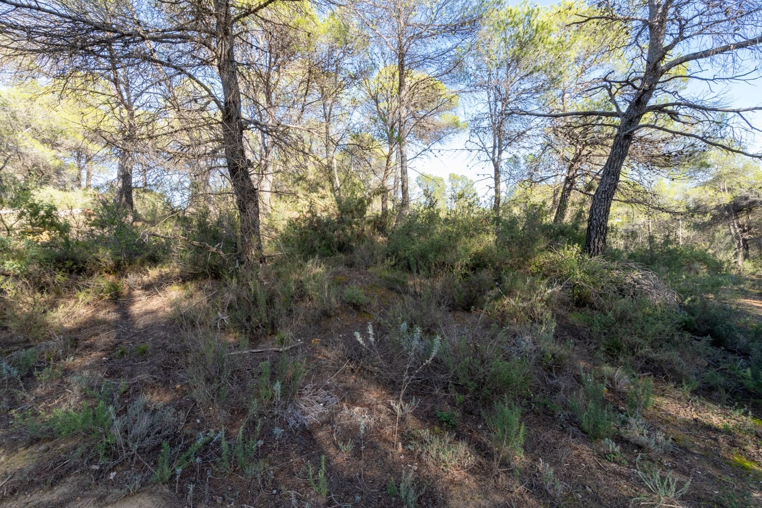 Finca/Landehus til salg i Arens de Lledo - € 10.000 (Ref: 8671446)