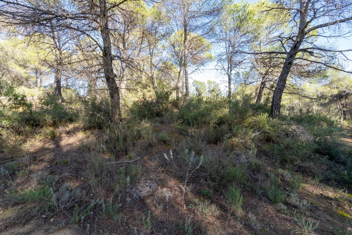 Finca/Landhuis te koop in Arens de Lledo - € 10.000 (Ref: 8671446)